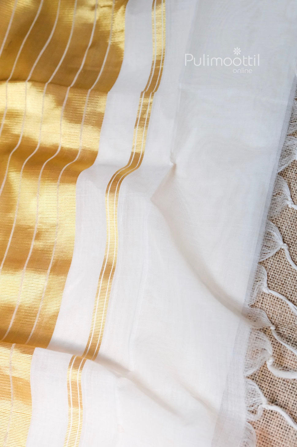 Close-up of traditional Kerala tissue saree with golden zari border and elegant white body