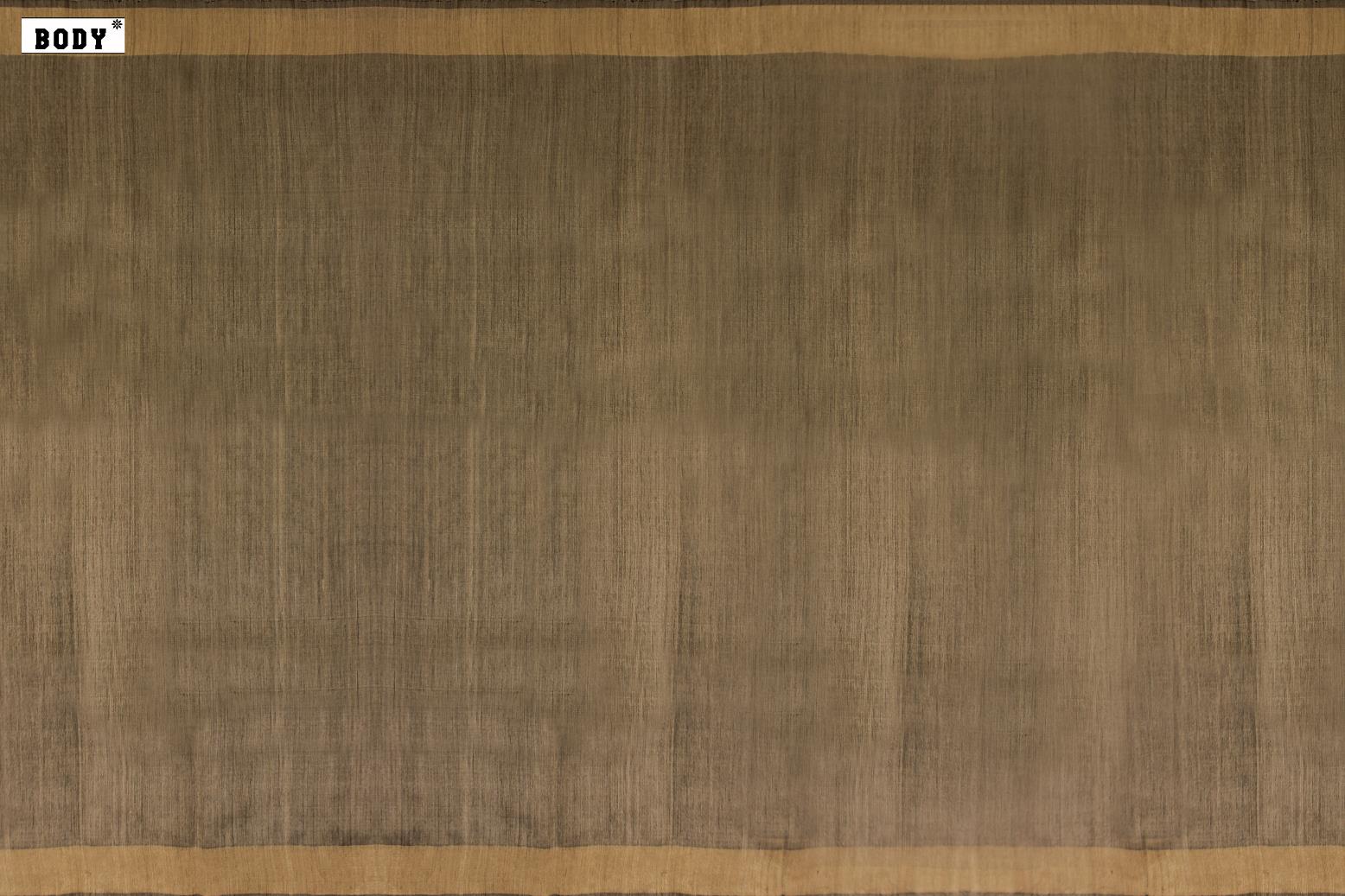 Saporta Chikku Colour, Jute Silk Saree.