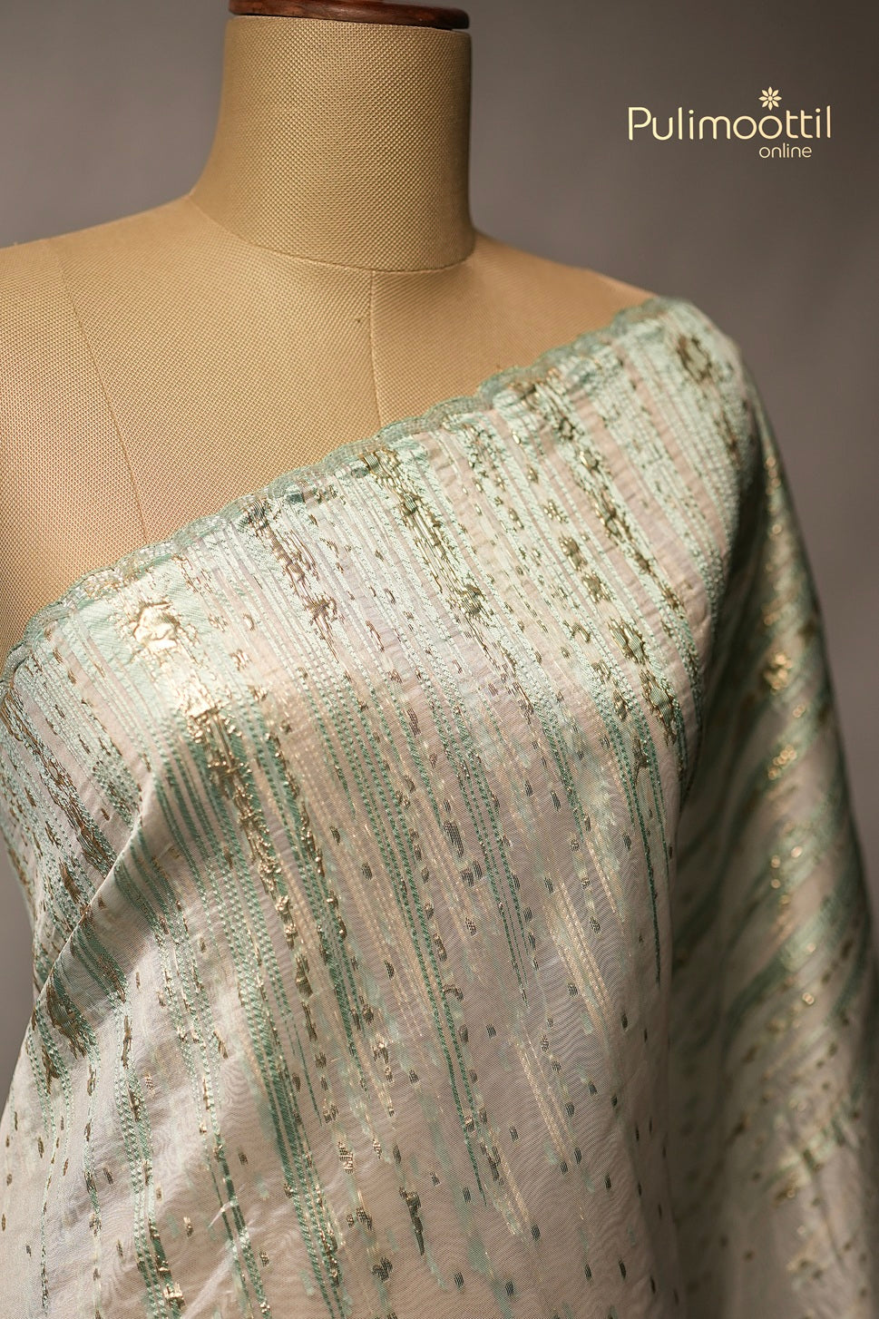 White Colour Turkish Organza Saree