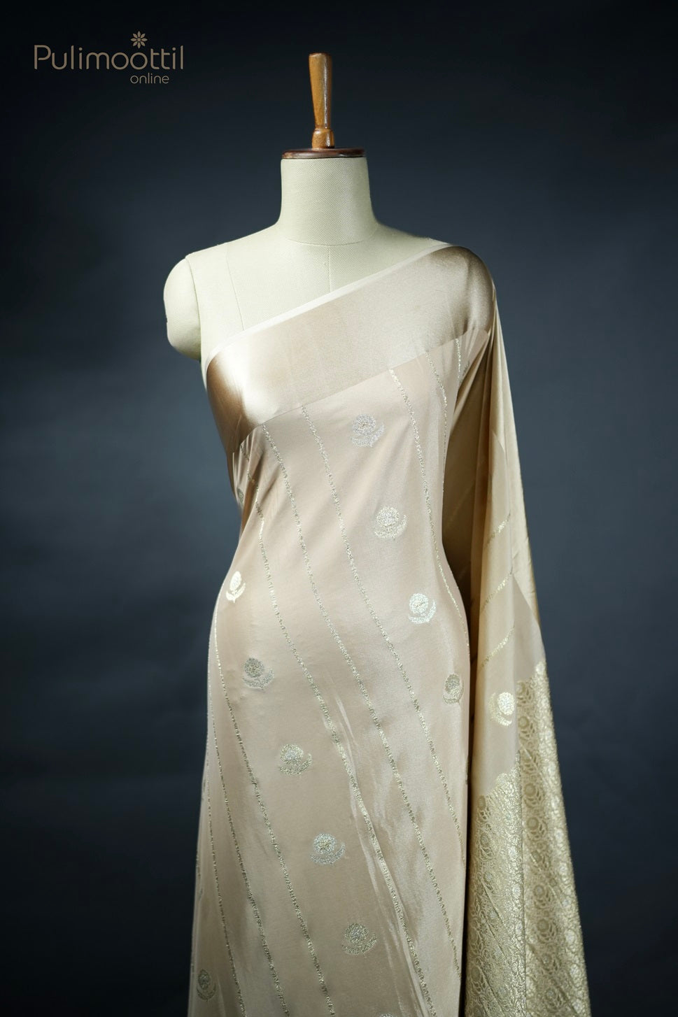 Pastel Chikoo Colour Georgette Banarasi Saree