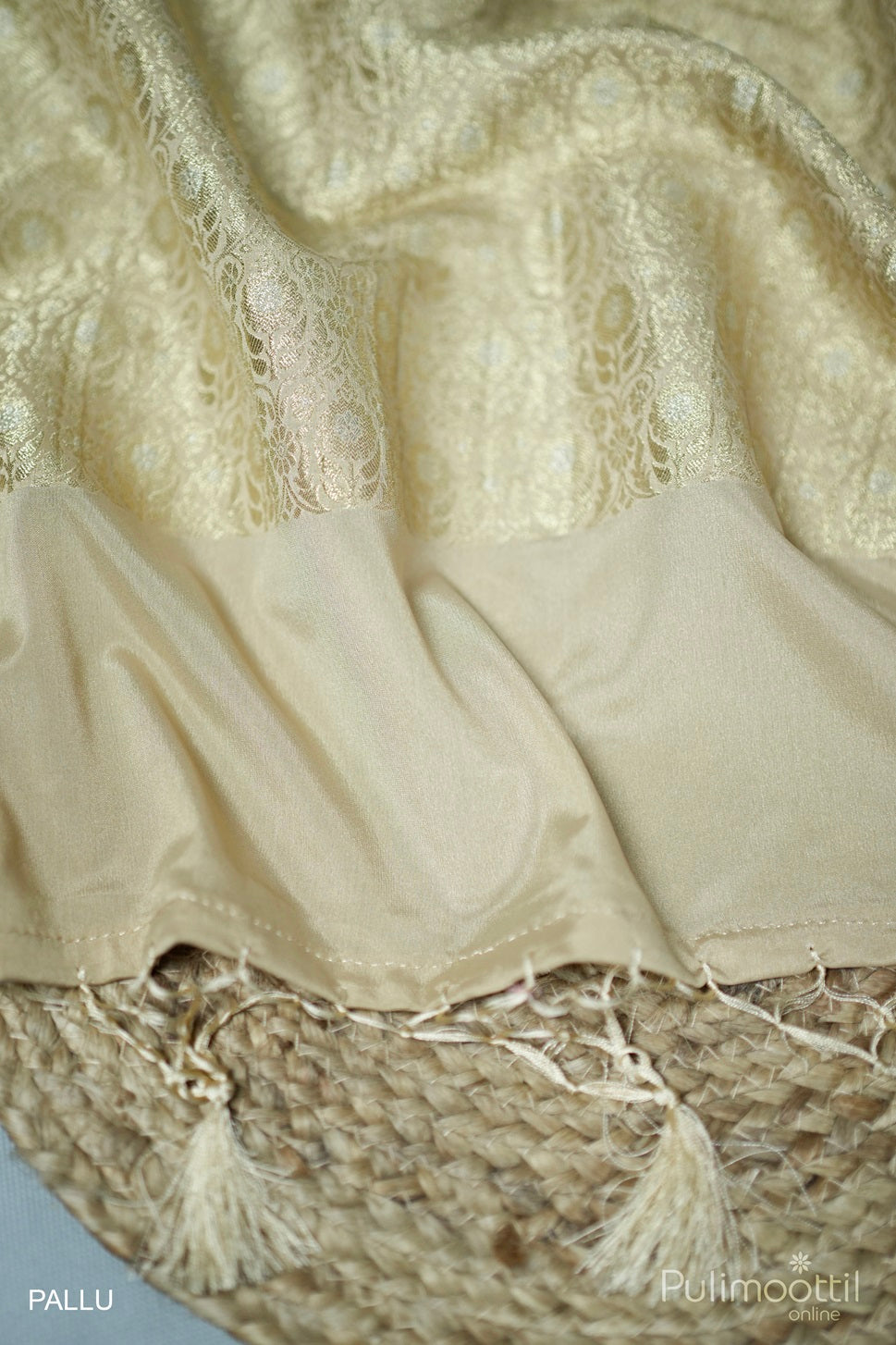 Pastel Chikoo Colour Georgette Banarasi Saree