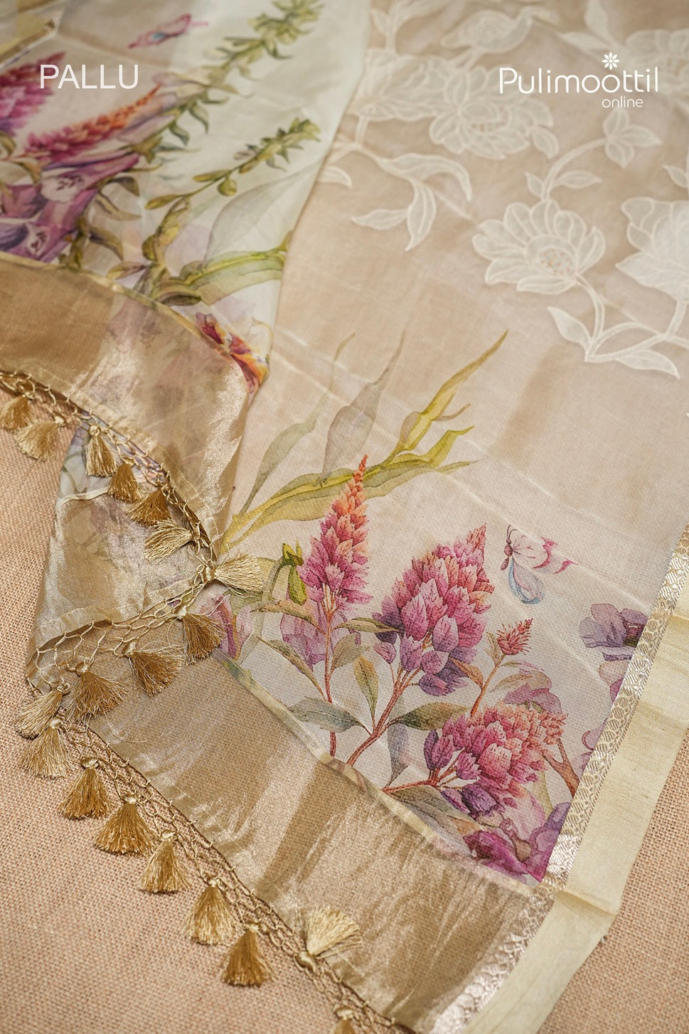 Ivory Colour Tissue Organza Fancy Saree