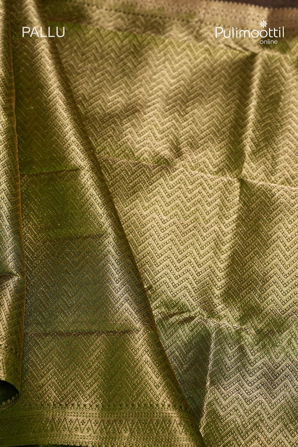Chikoo Colour Kanchipuram Designer Saree