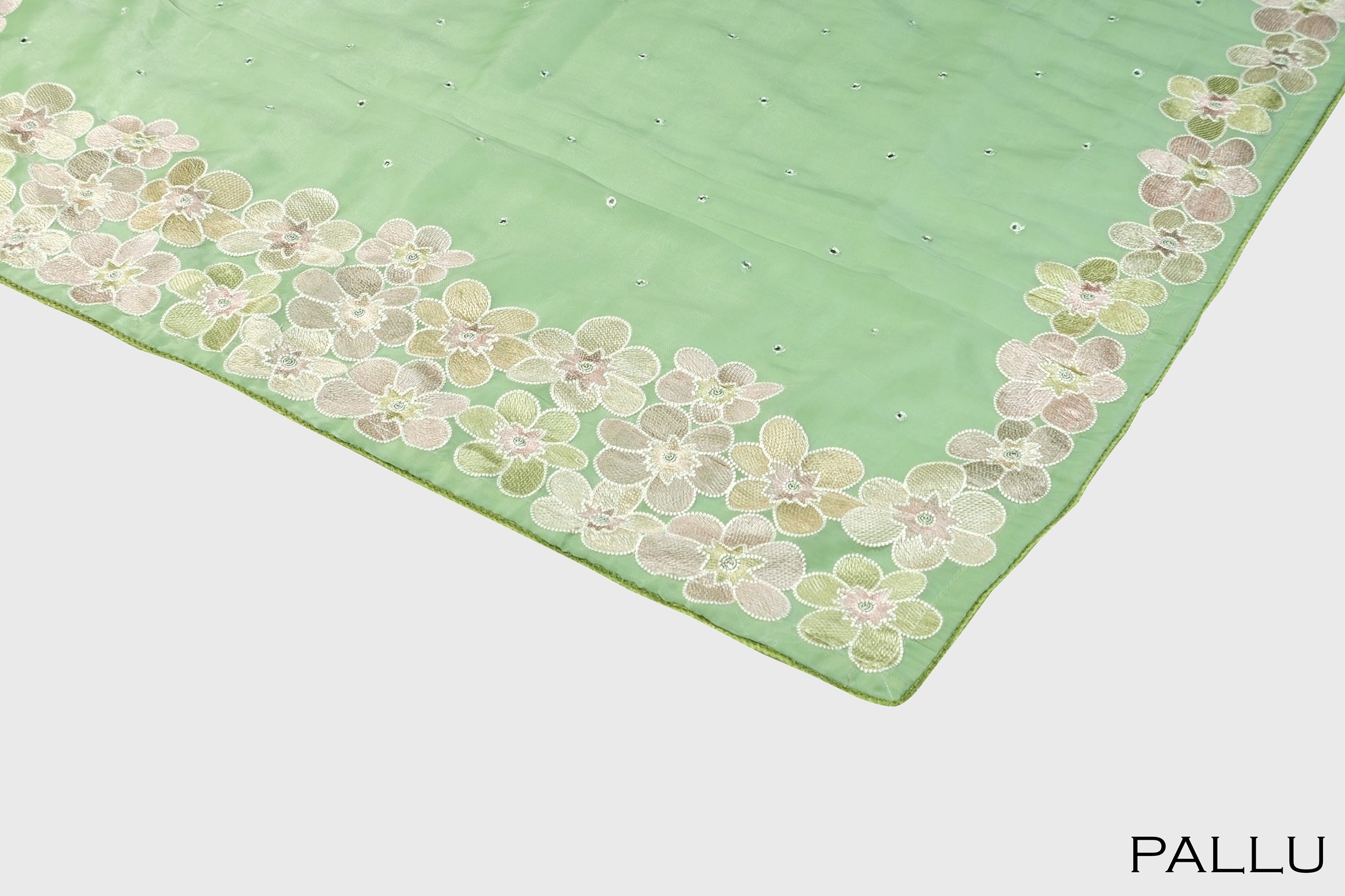 Pastel green color soft Organza saree.