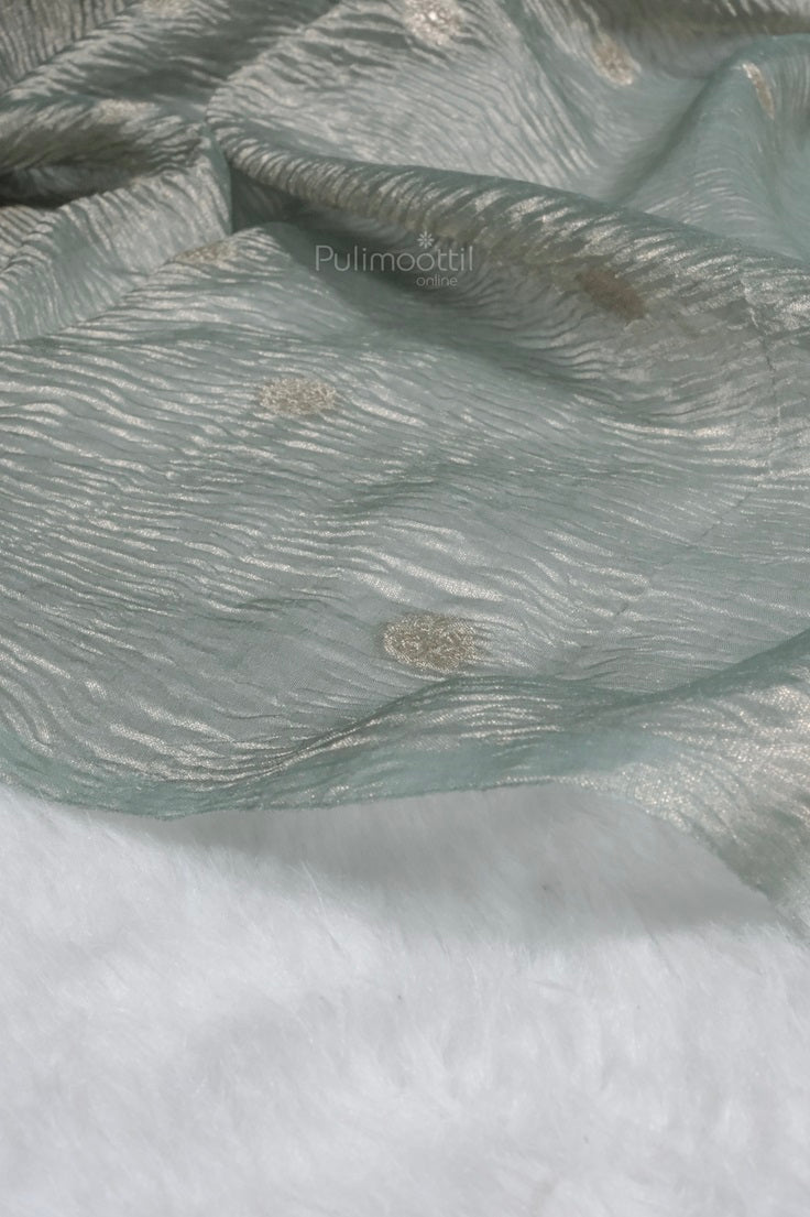 Close-up view of pastel green crushed organza fabric with golden zari polka dots on a white background.