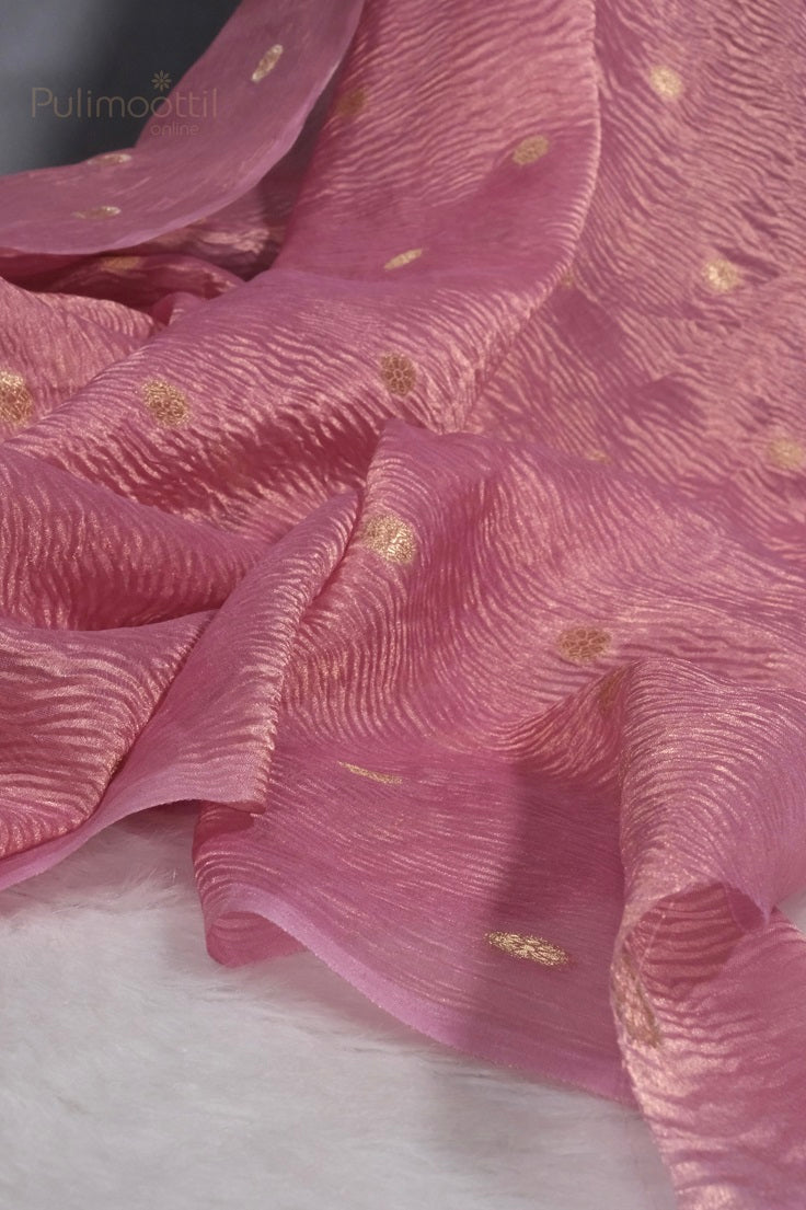 Model wearing pastel pink crushed organza saree with elegant drape and minimalist embellishments