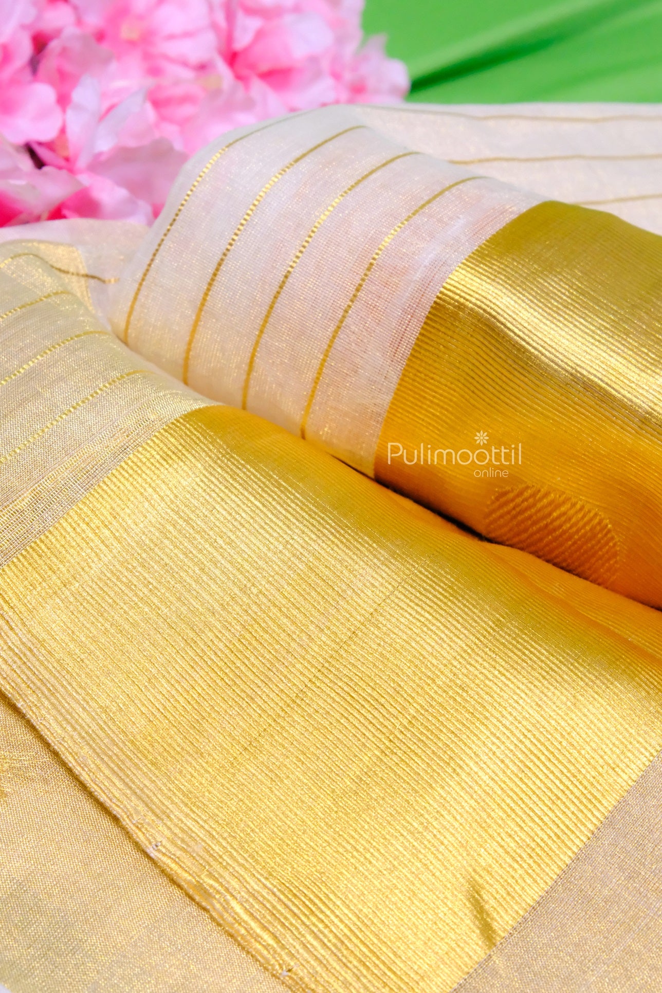 Close-up of Golden Kasavu Border and Pallu on Kerala Handloom Cotton Saree – Authentic Onam Saree Online