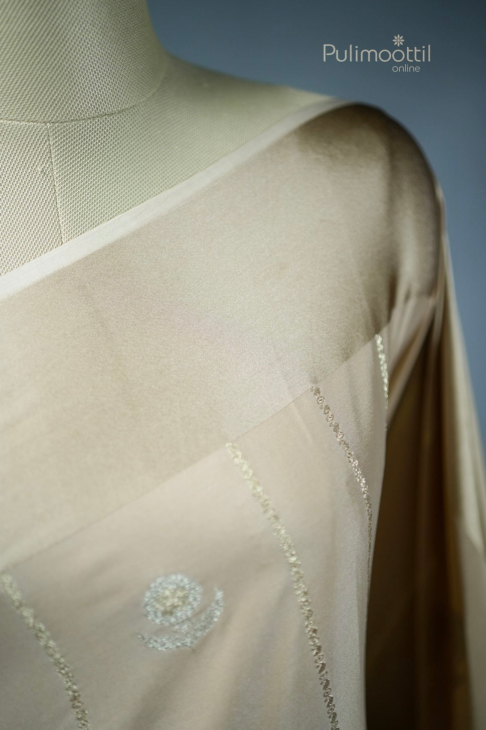 Pastel Chikoo Colour Georgette Banarasi Saree