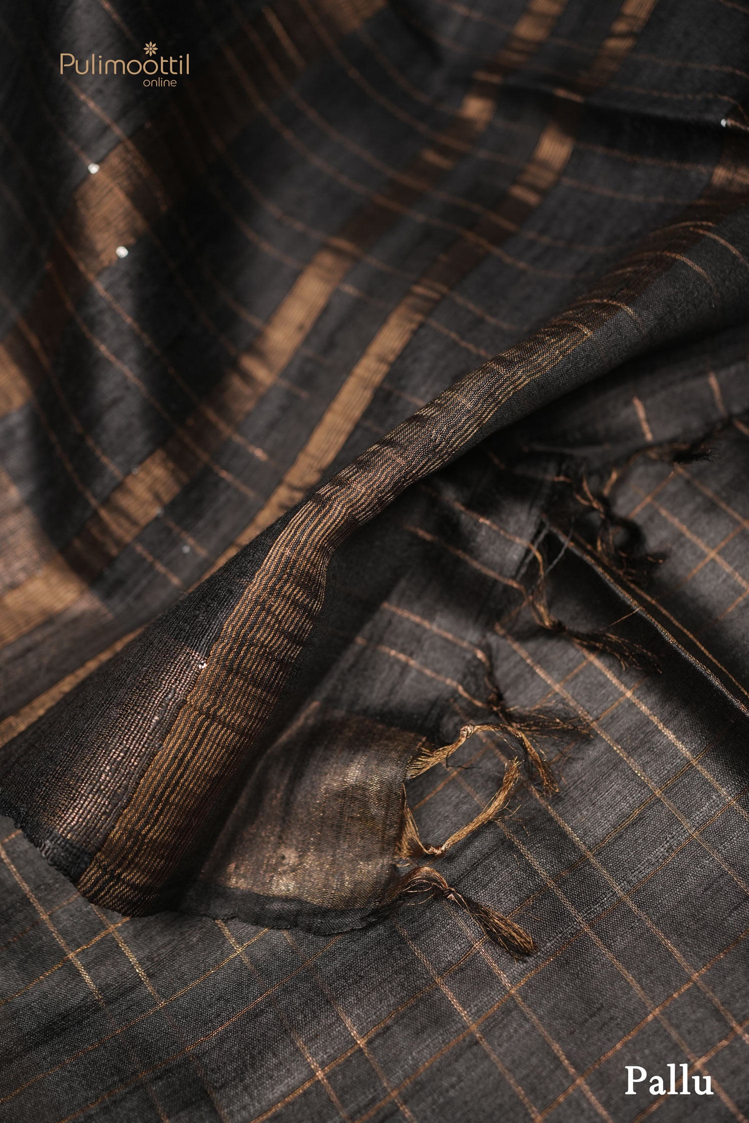Greyish Black color Tussar silk saree