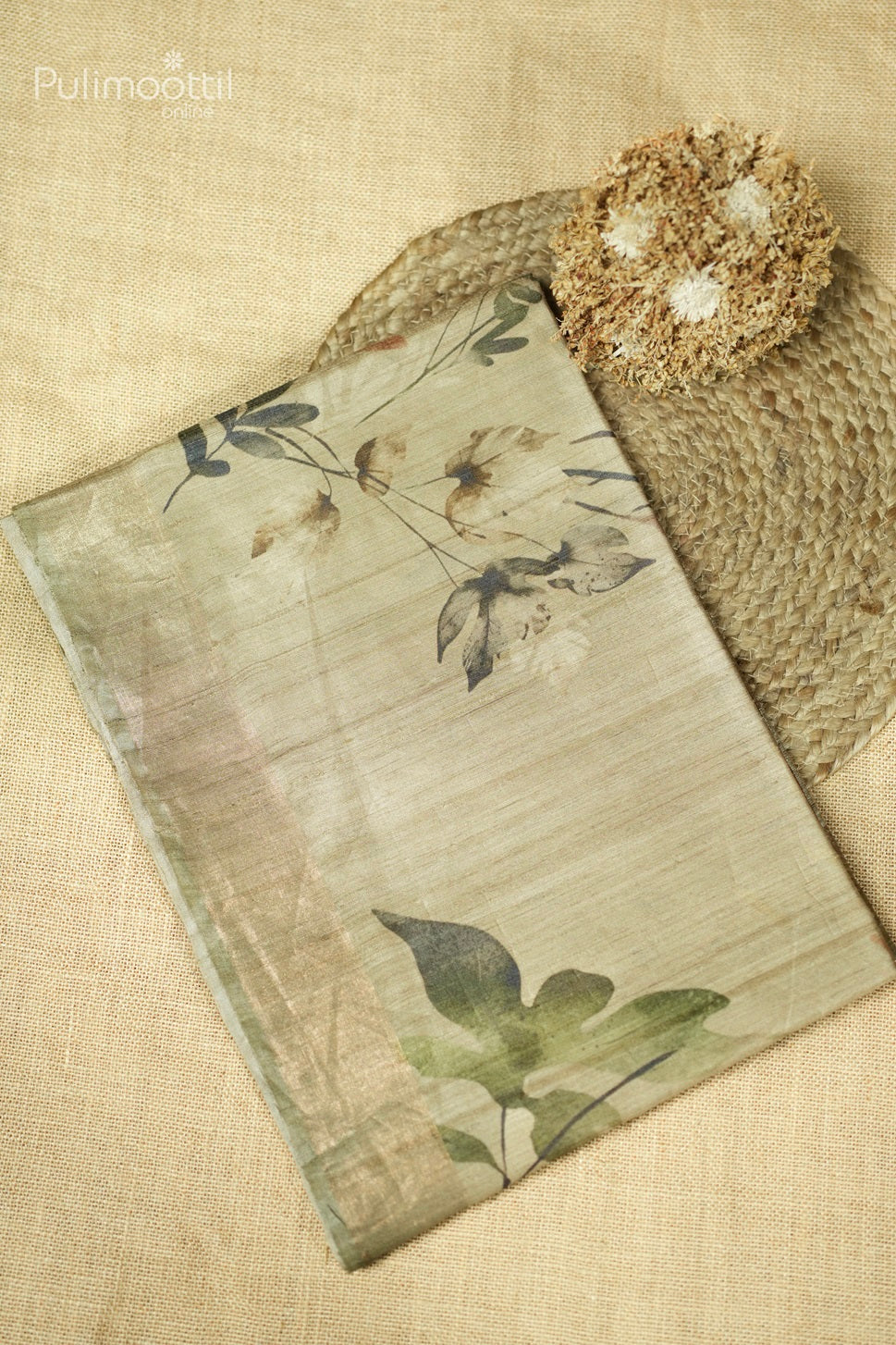 Chikoo Colour Tussar Silk Saree