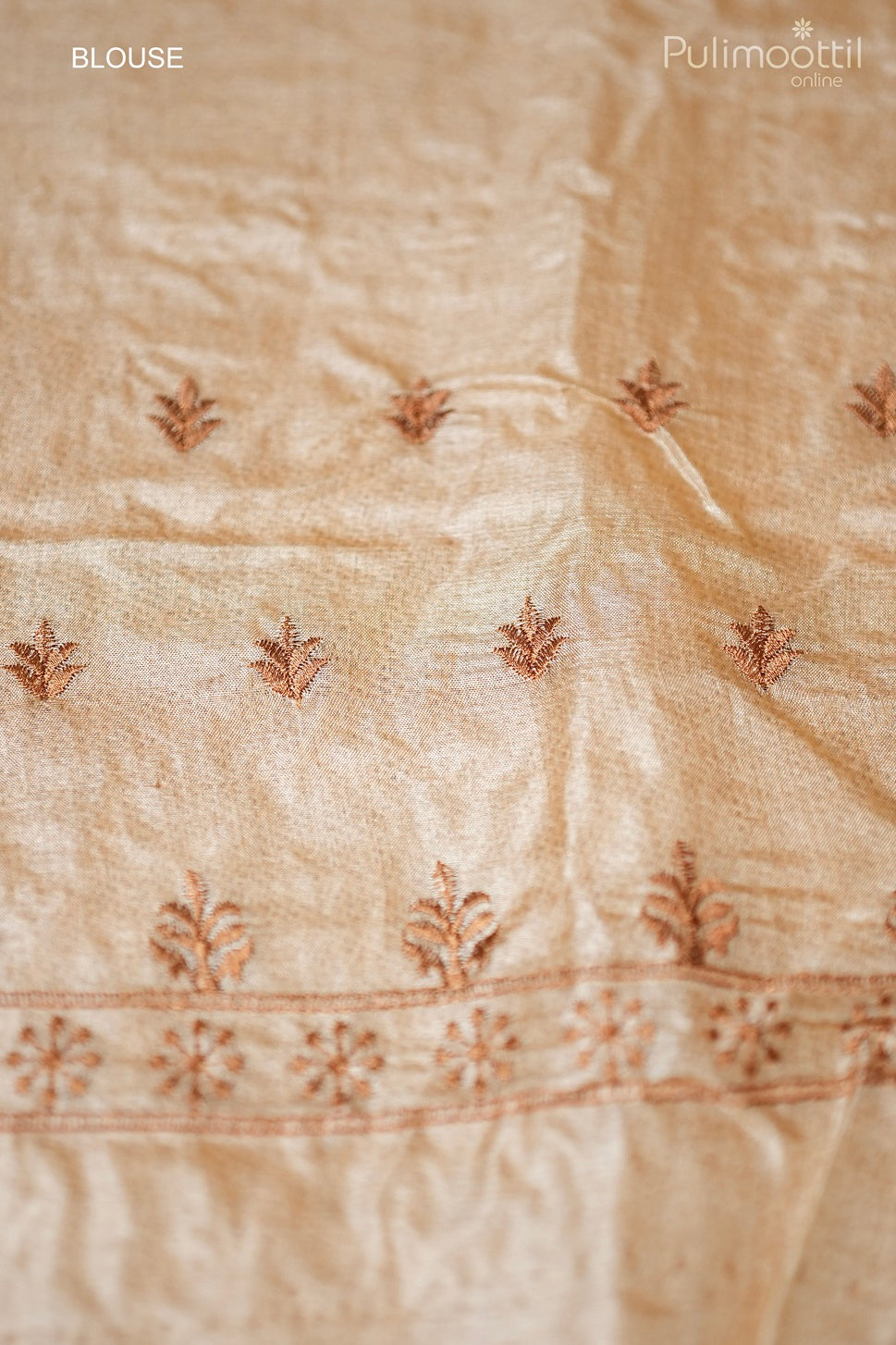 Light Chickoo Colour Tussar Silk Saree