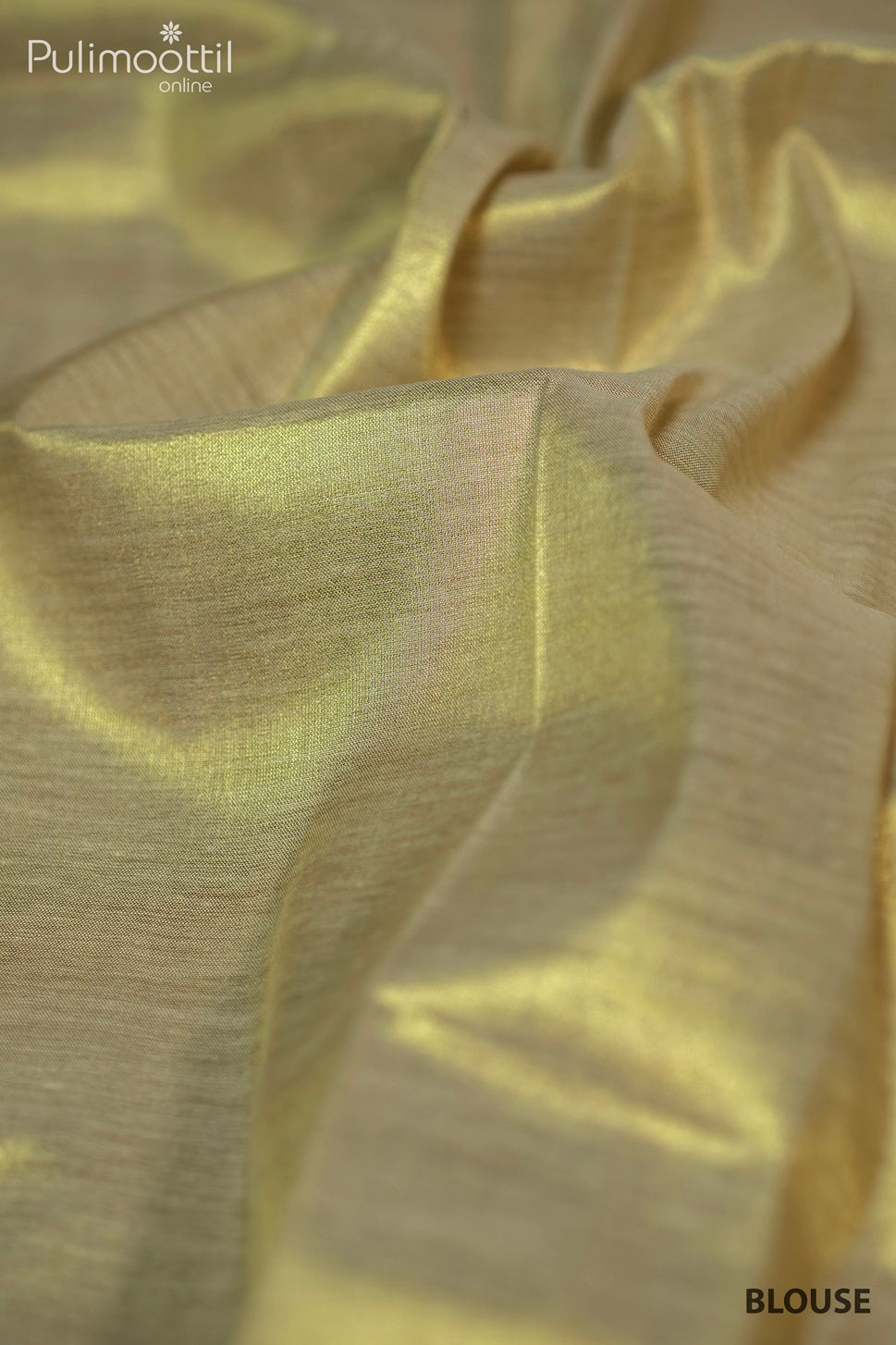 Golden Tissue Fancy Saree.