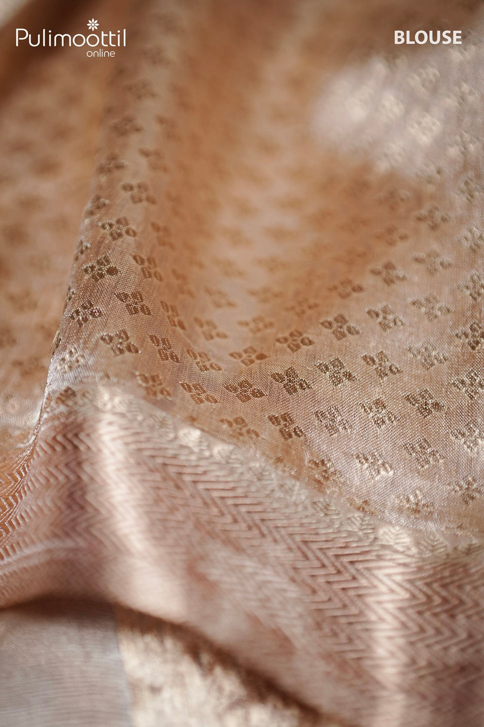 Pastel Shaded Organza Silk Saree.