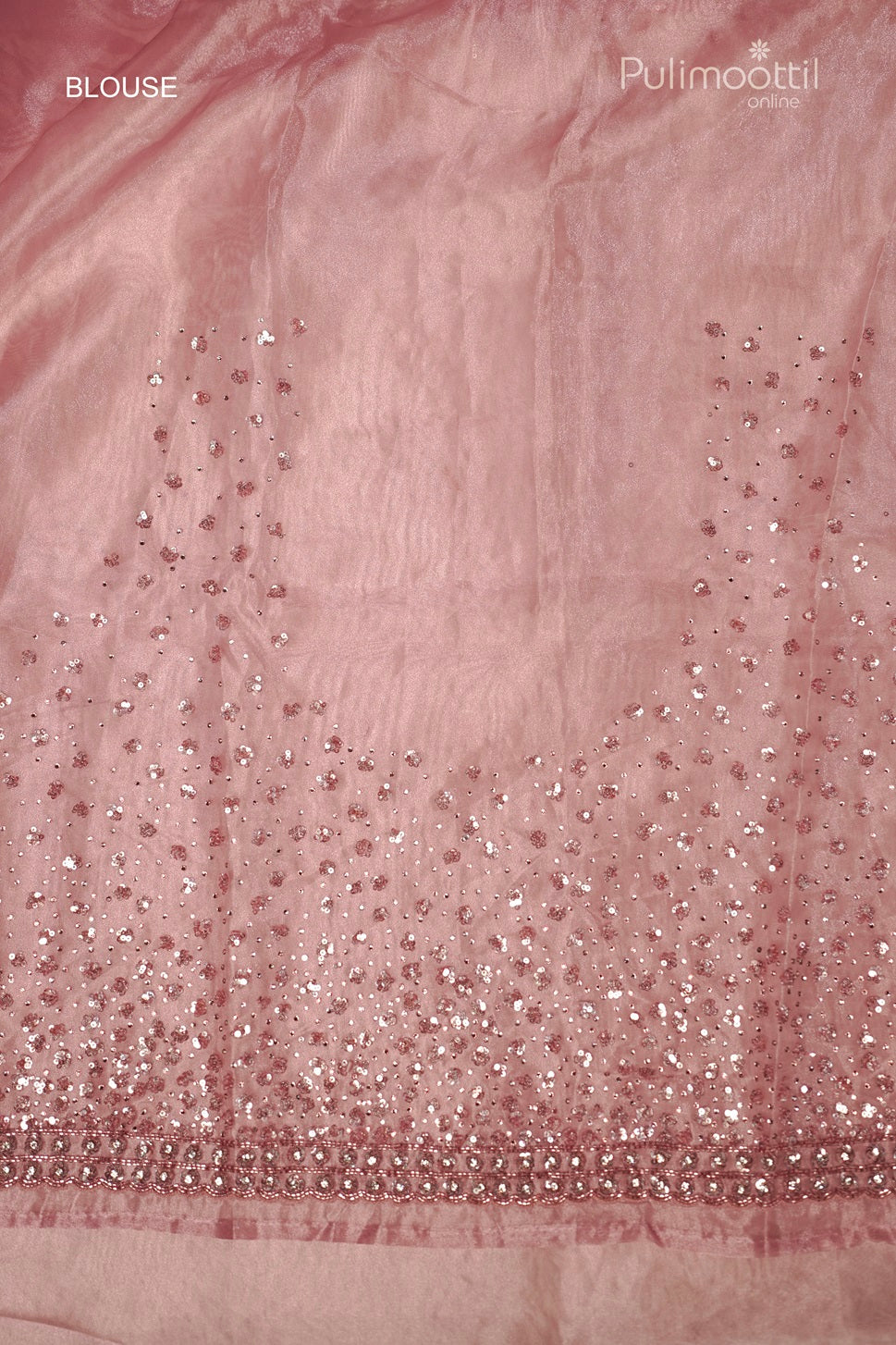 Pastel Onion Colour Organza Fancy Saree
