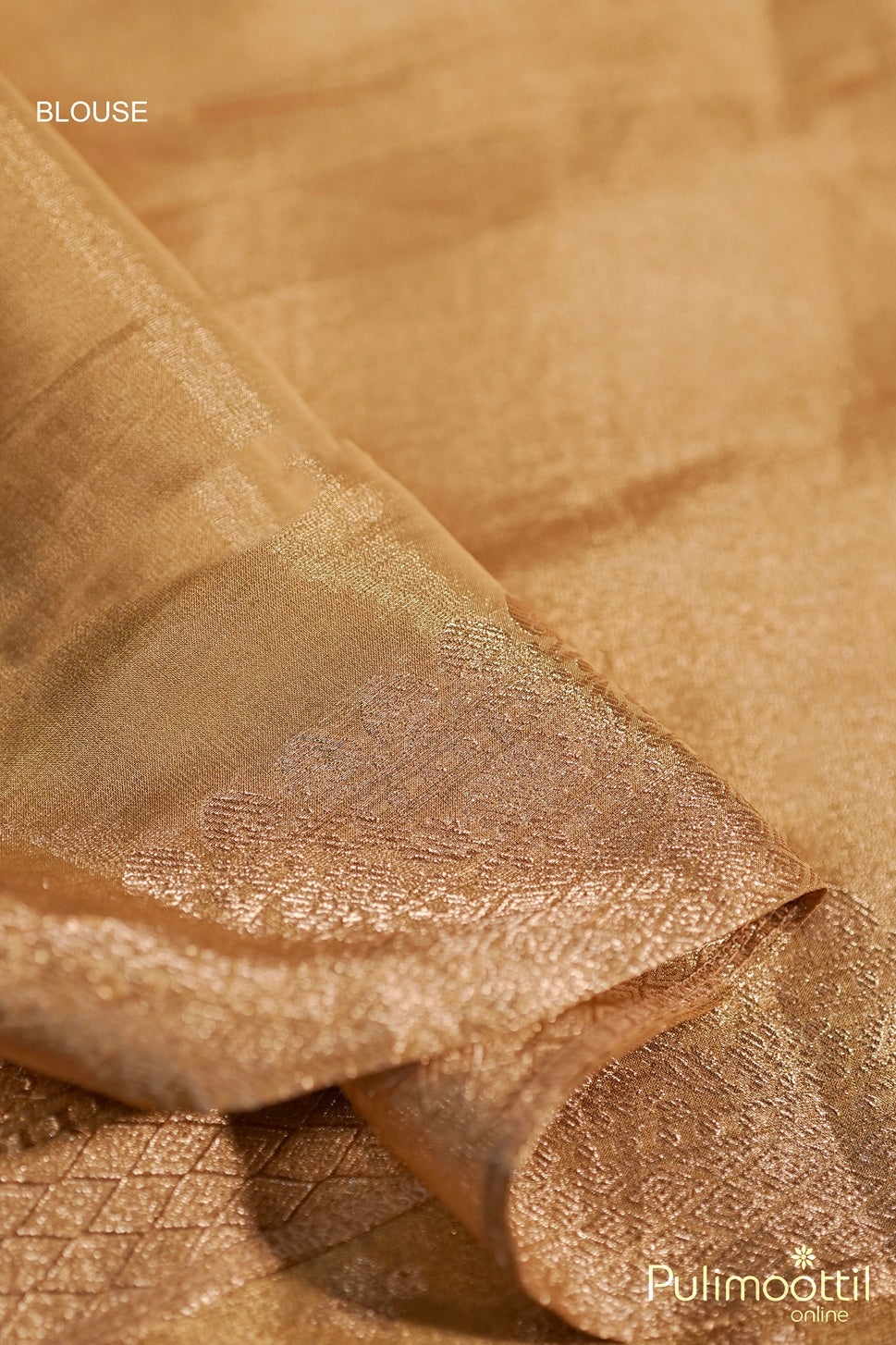 Golden Tissue Banarasi Saree.