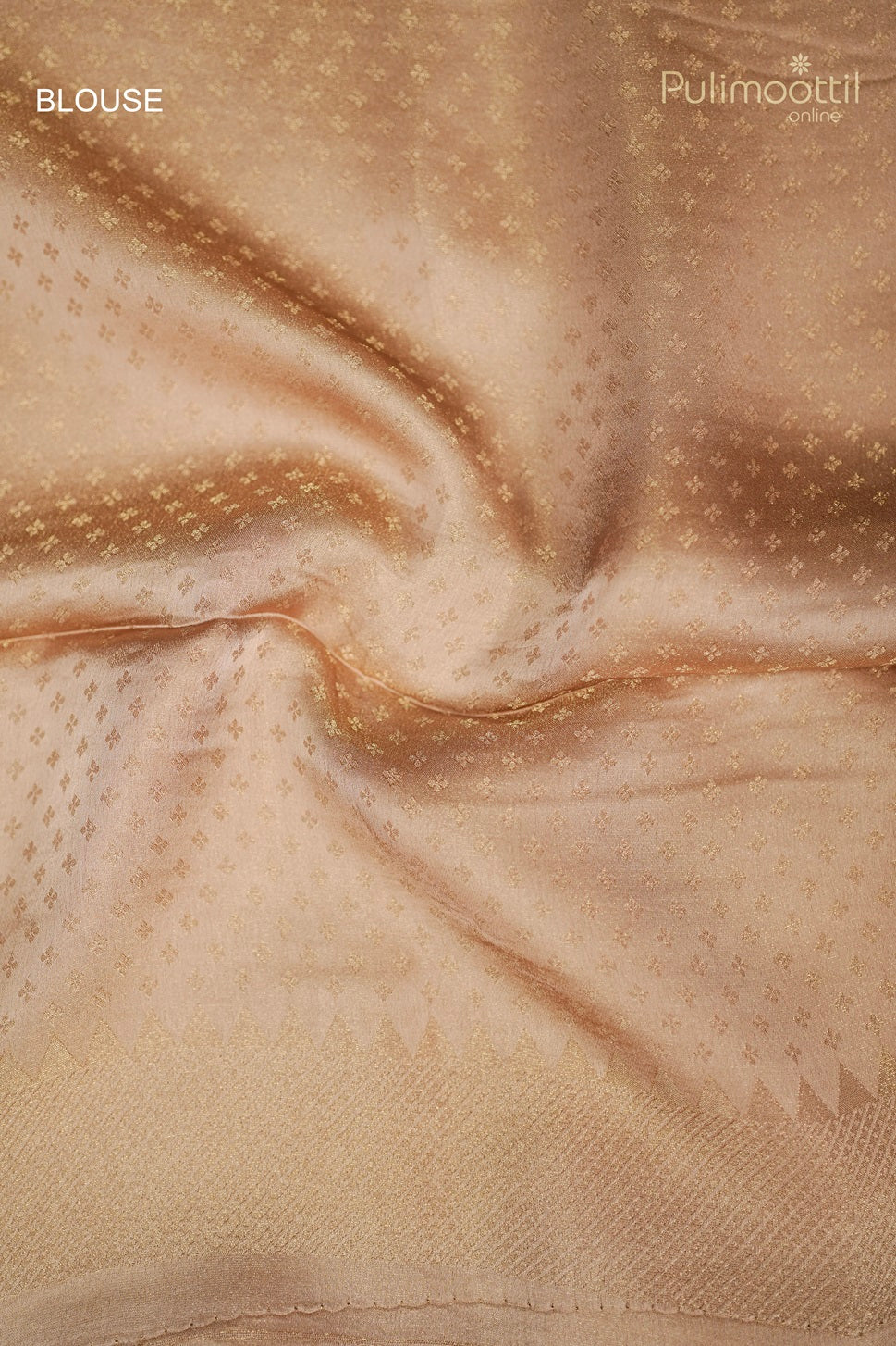 Pastel Chikoo Shade Colour Banarasi Saree.