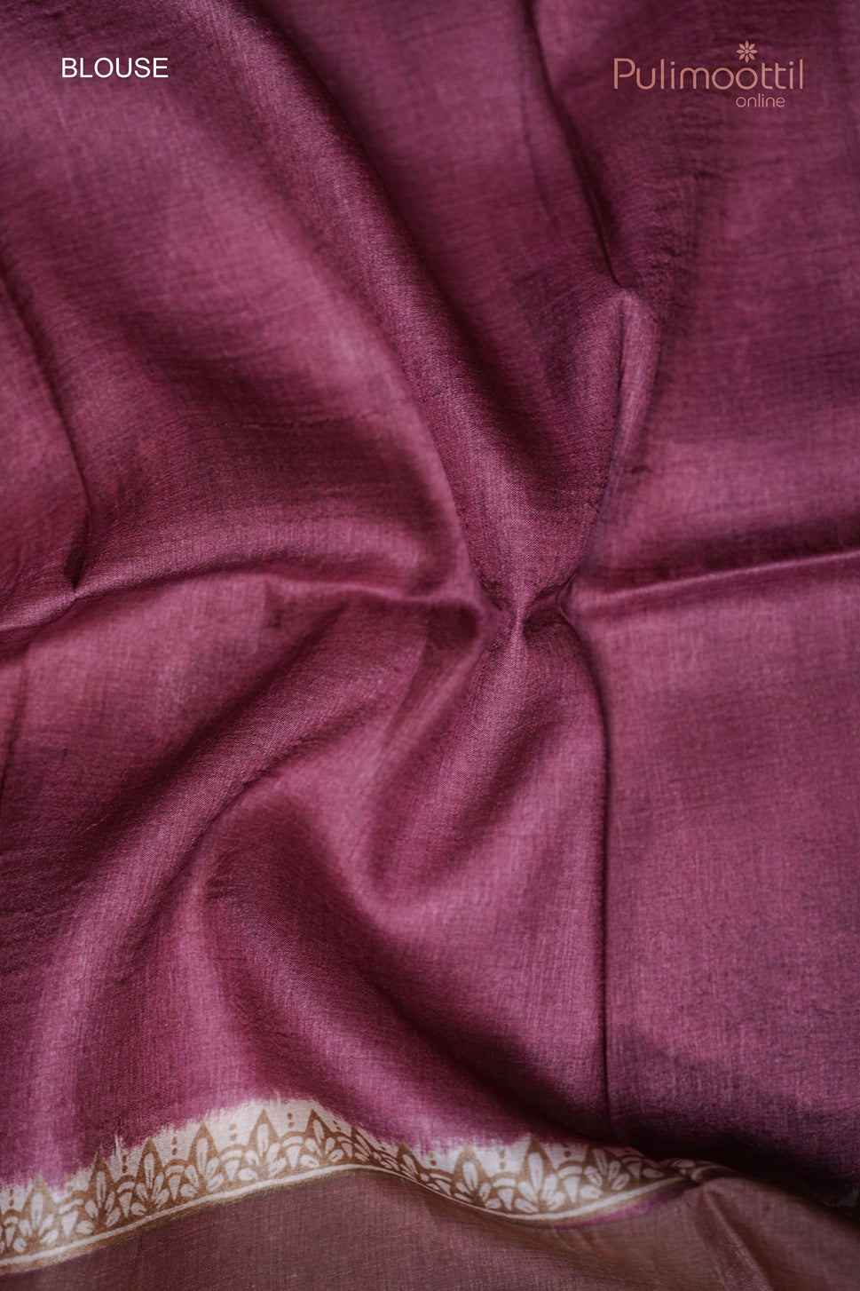 Pastel Chikoo Colour Tussar Silk Saree