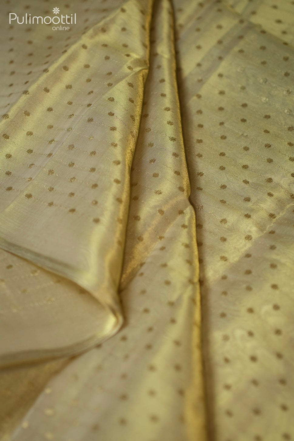 Golden Tissue Fancy Saree.