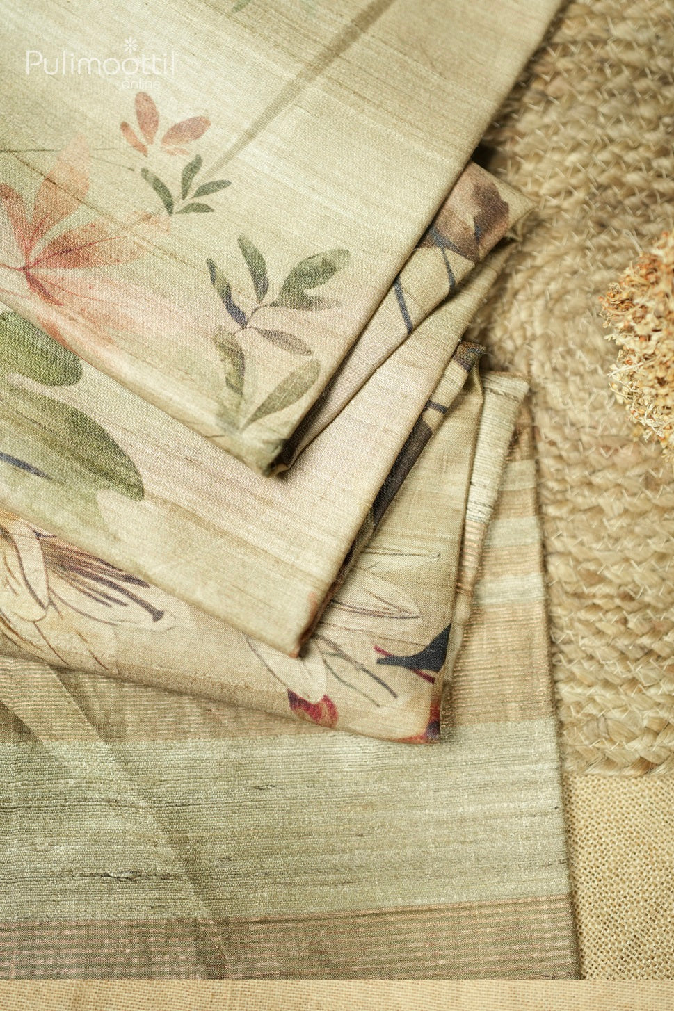 Chikoo Colour Tussar Silk Saree