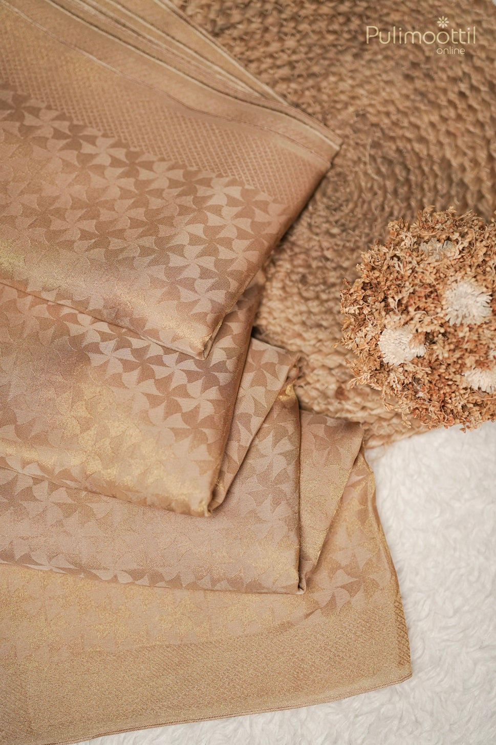 Pastel Chikoo Shade Colour Banarasi Saree.