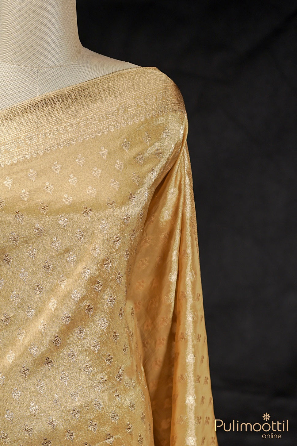 Golden Tissue Banarasi Saree.