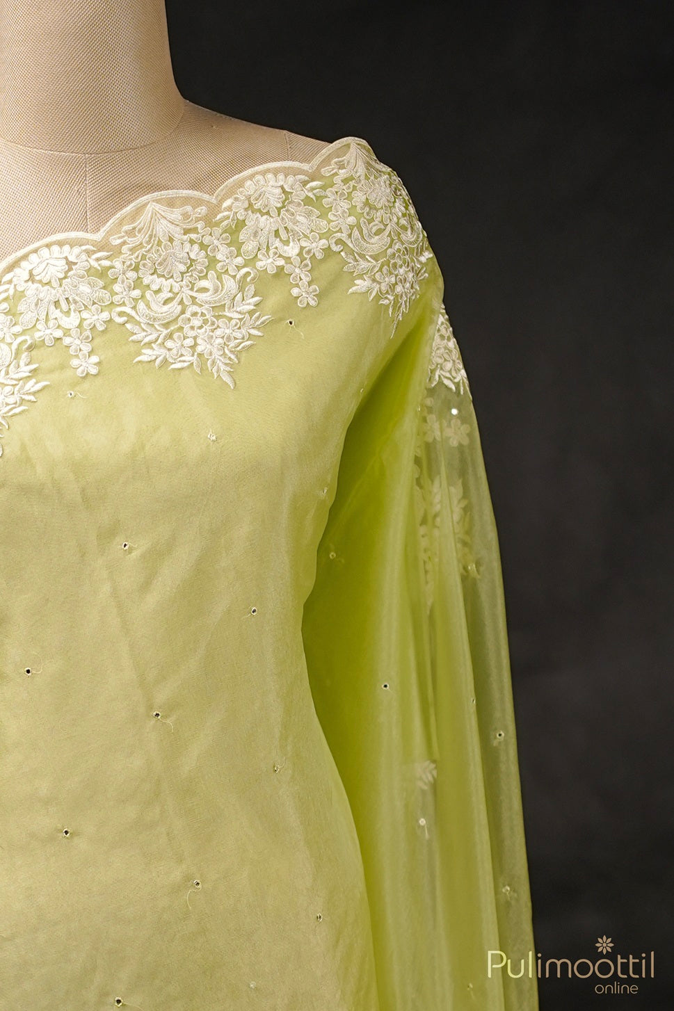 Light Green Organza Fancy Saree.