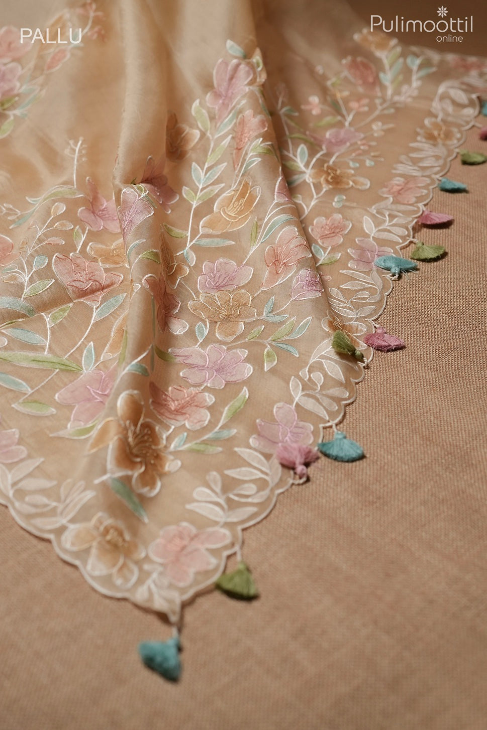 Light chikoo color fancy organza saree