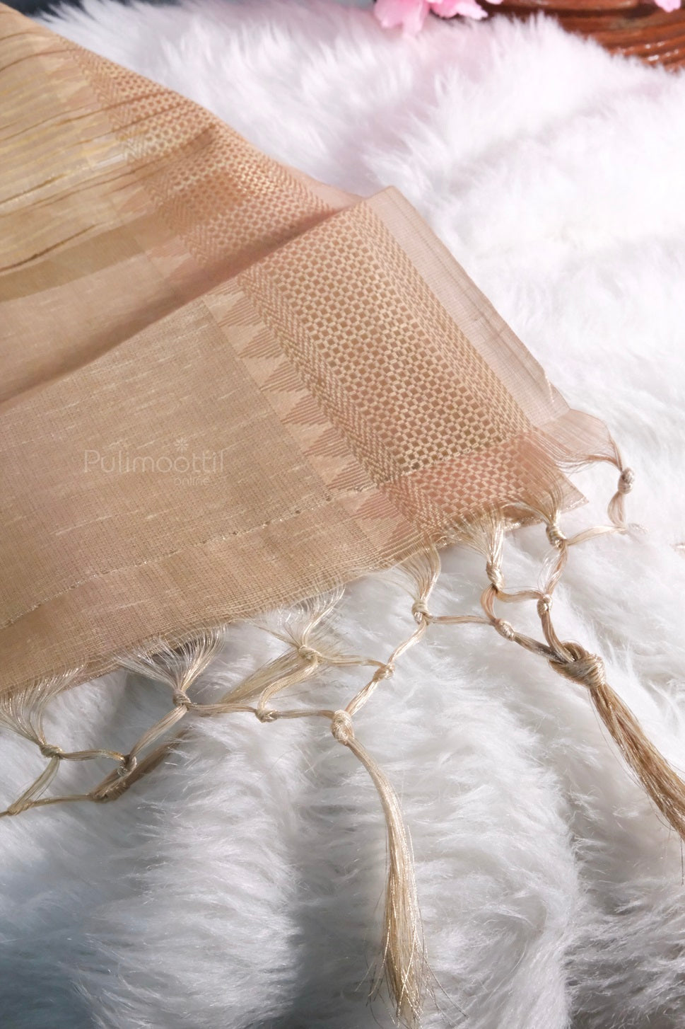 Detailed view of the pallu end with tassels and traditional zari weaving in Chiku Banaras tissue silk saree.