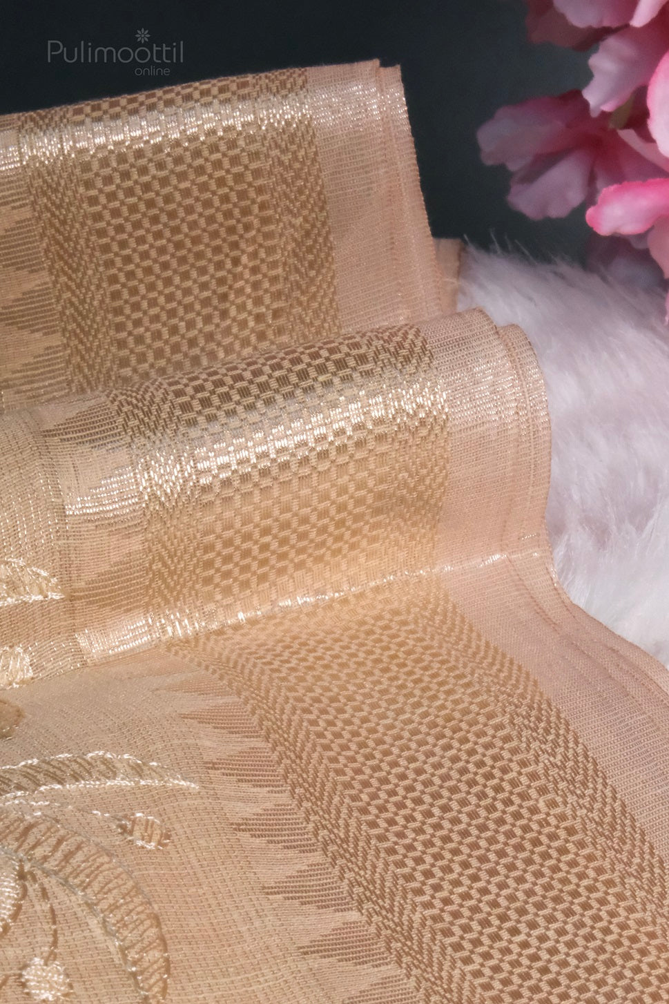 Close-up of the pallu showing fine Banarasi weaving and checkered golden zari border of the Chiku tissue silk saree.