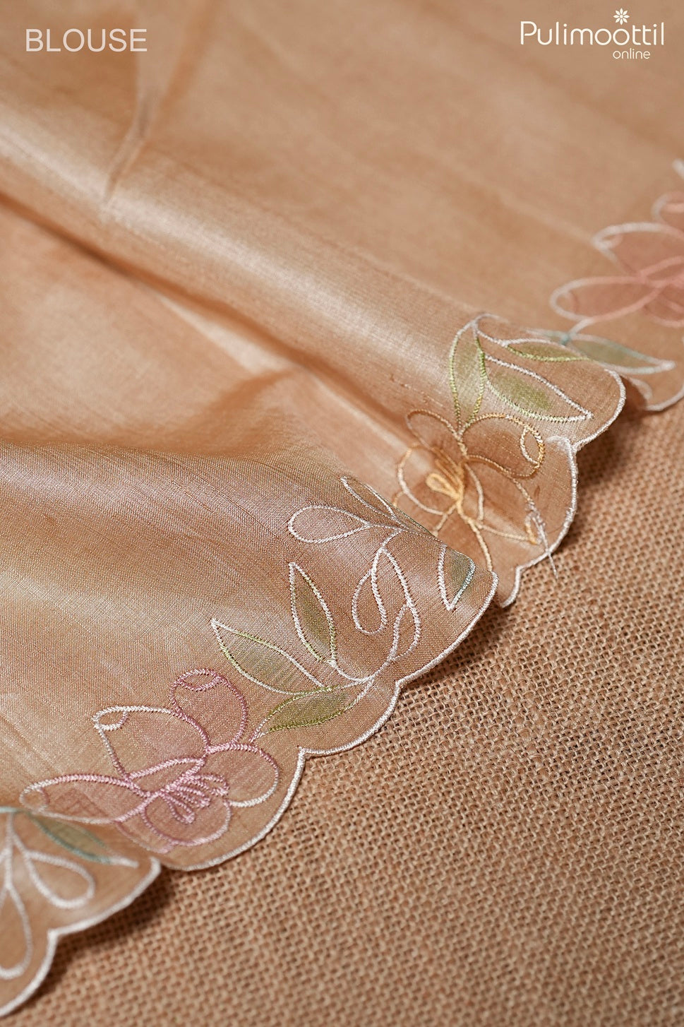 Light chikoo color fancy organza saree