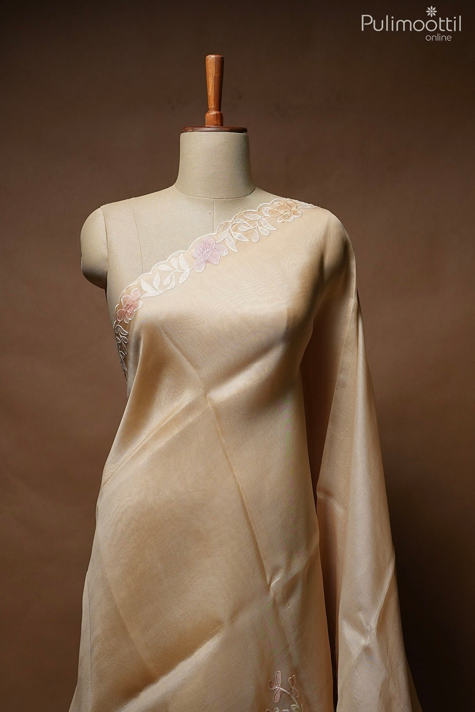 Light chikoo color fancy organza saree