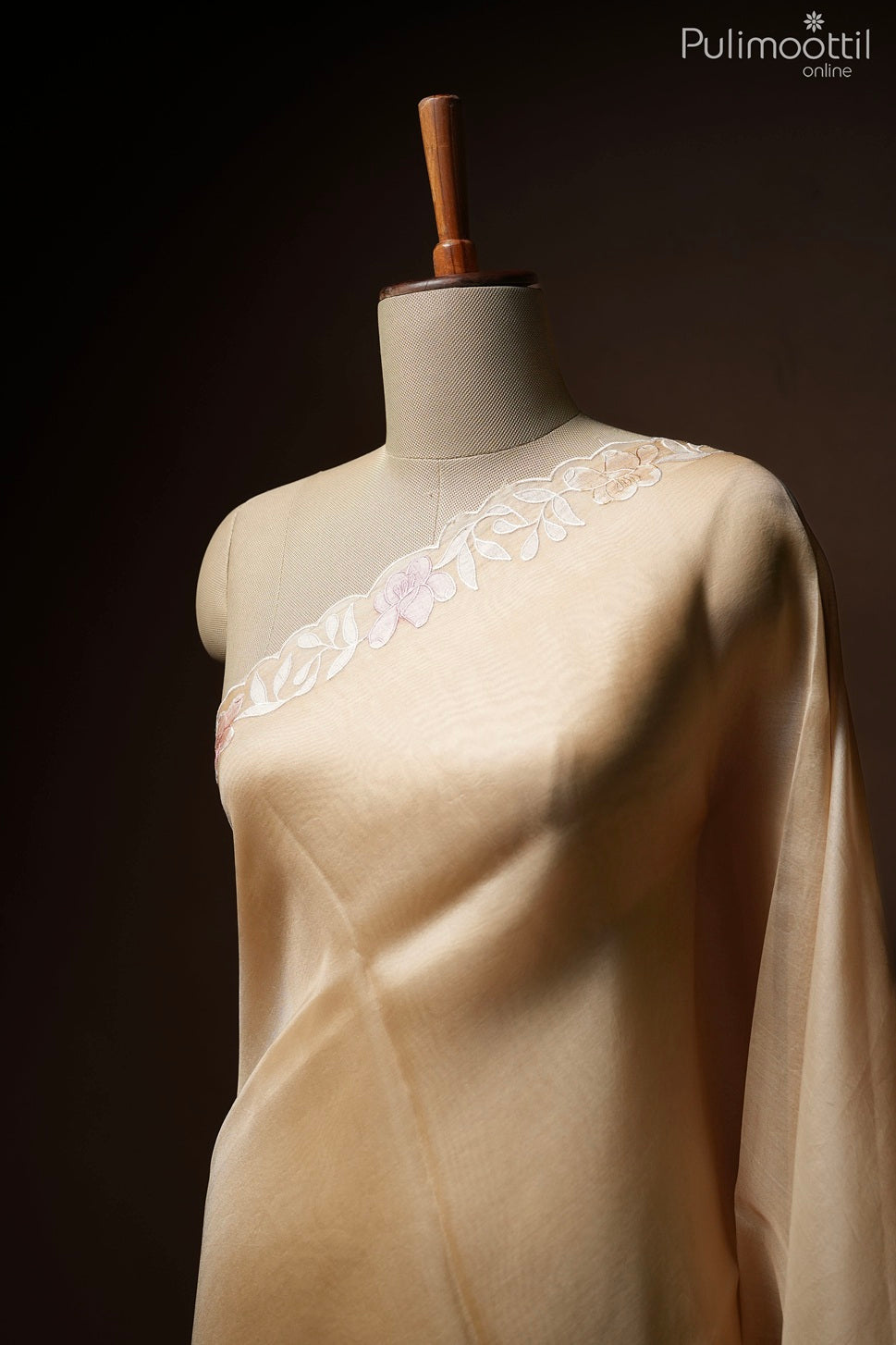 Light chikoo color fancy organza saree