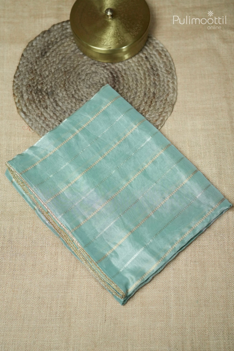 Pastel mint green color organza fancy saree