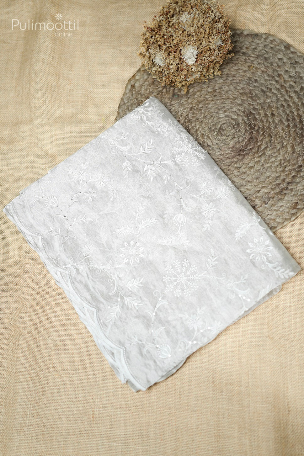 Ivory Colour Tissue Organza Fancy Saree