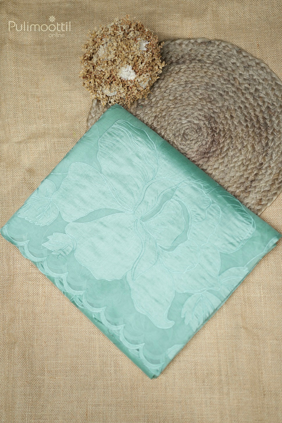 Light Persian Green Colour Appliqué Work Organza Fancy Saree