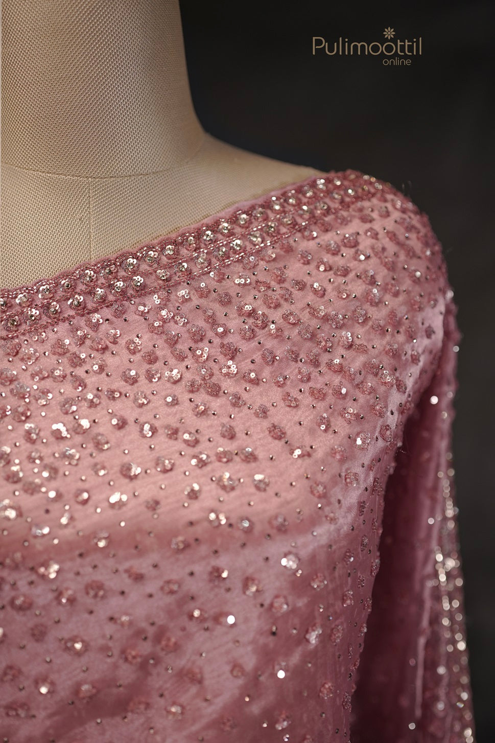 Pastel Onion Colour Organza Fancy Saree