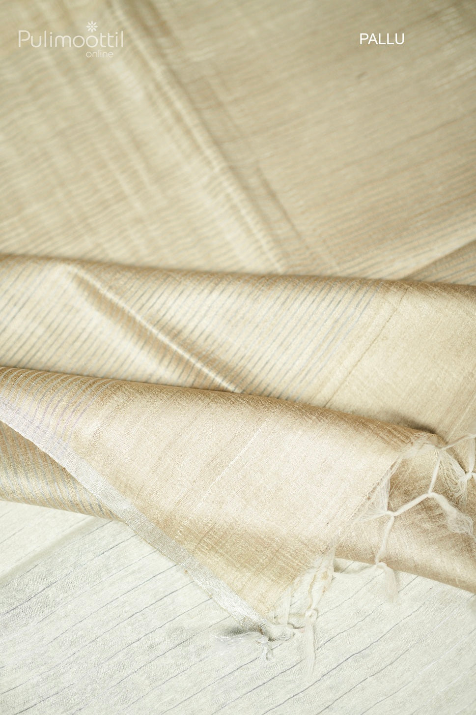 Pastel Chikoo Shade Tussar Silk Saree