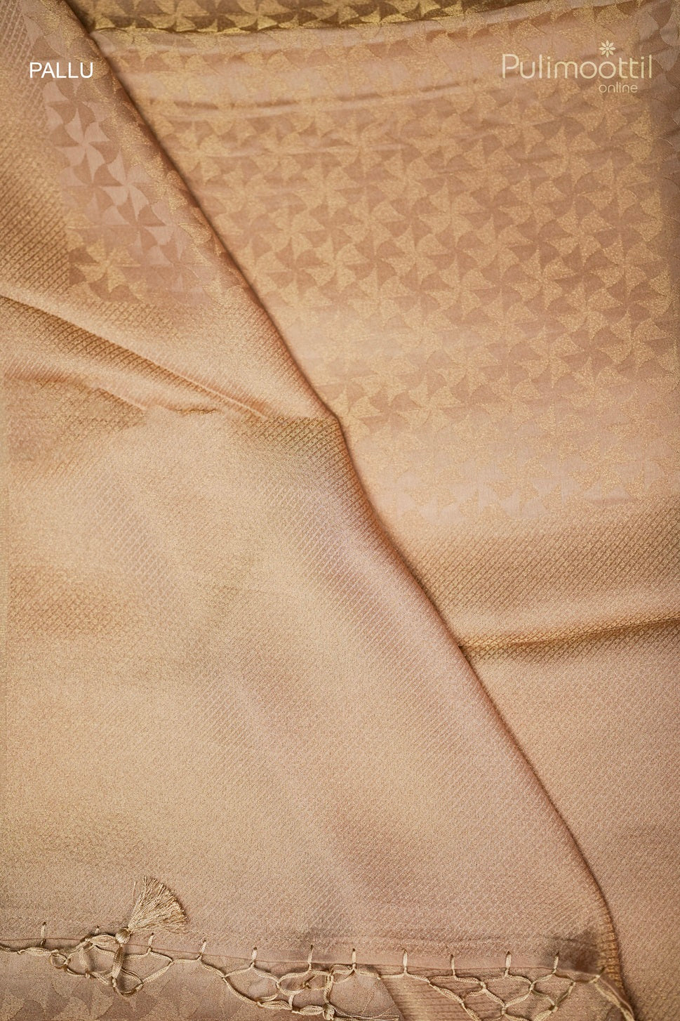 Pastel Chikoo Shade Colour Banarasi Saree.