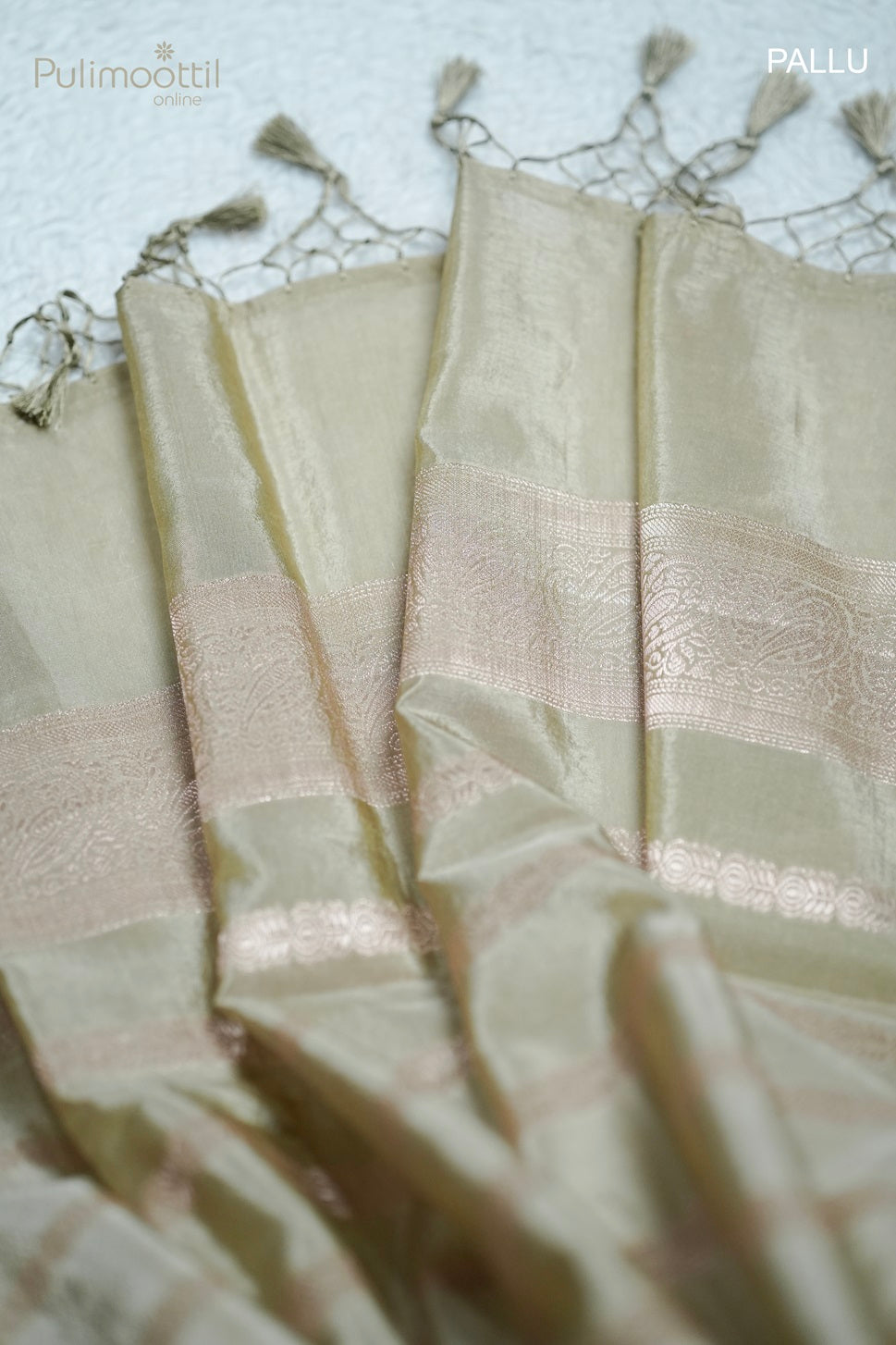 Pastel Chikoo Shaded Chiniya Silk Saree