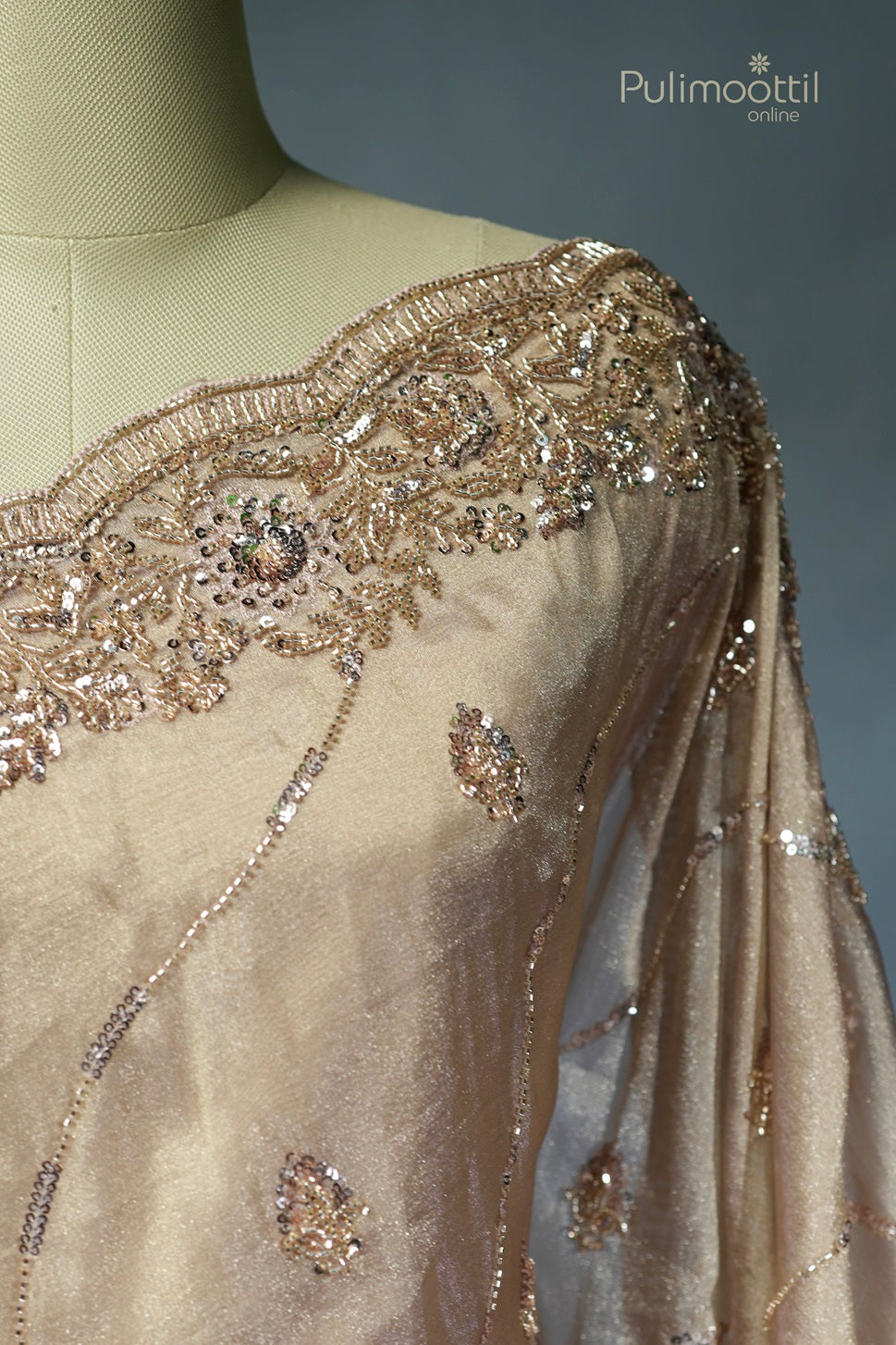 Light chickoo-colored shimmer organza fancy saree