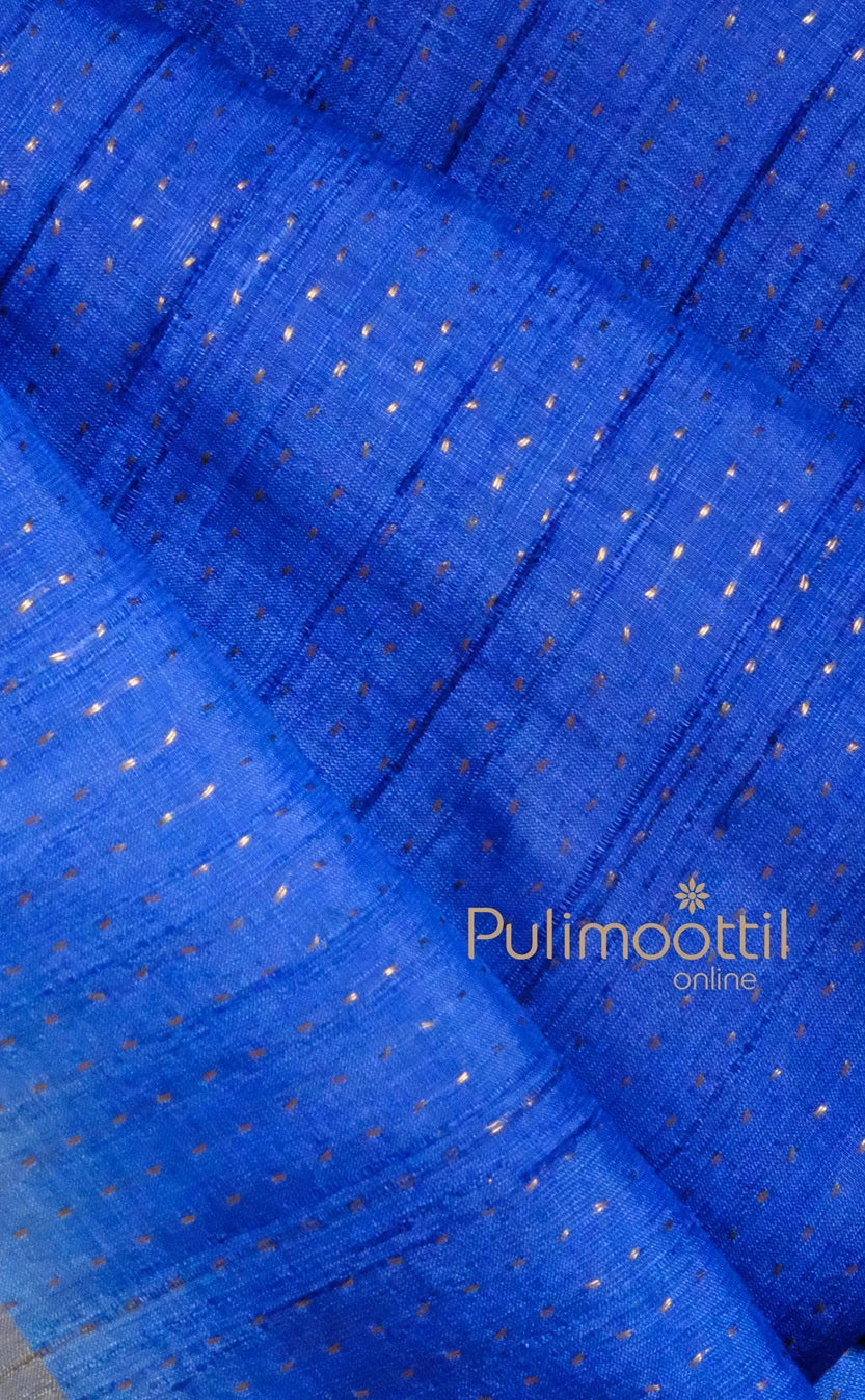 ROYAL BLUE COLOR PURE TUSSAR SILK SAREE