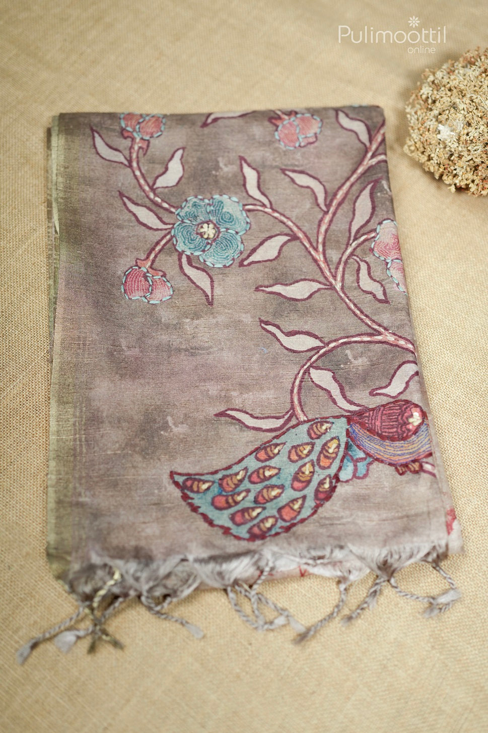 Light Chickoo Colour Printed Tussar Silk Saree