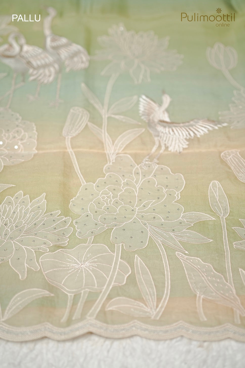 Pastel Multicolour Organza Fancy Saree