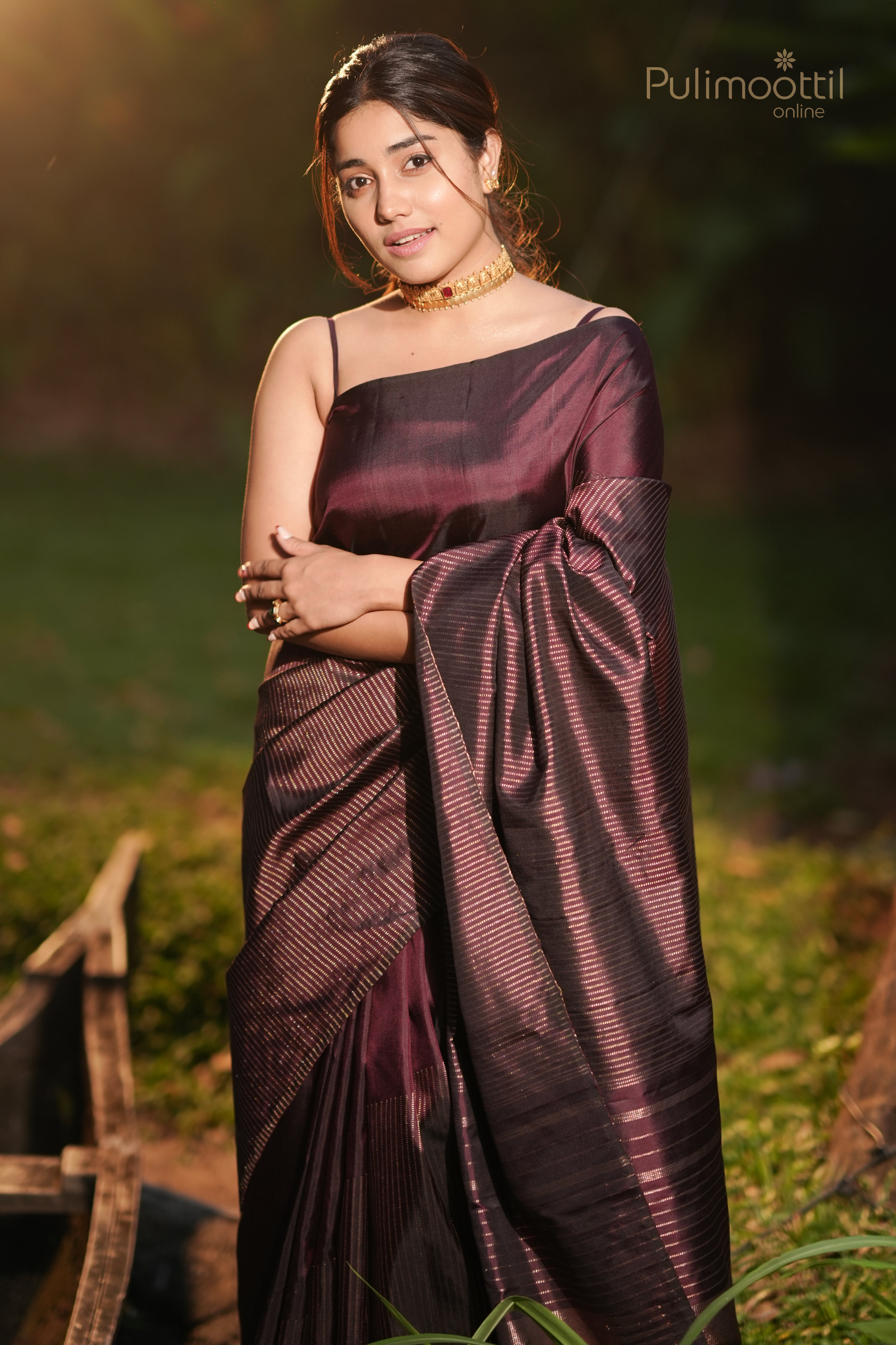 Purple Plum Colour Pure Kanchipuram Silk Saree