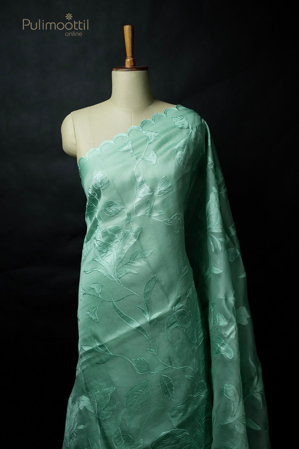 Light Persian Green Colour Appliqué Work Organza Fancy Saree