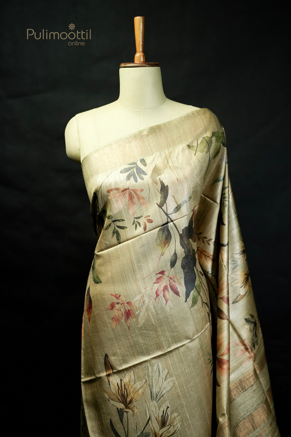 Chikoo Colour Tussar Silk Saree