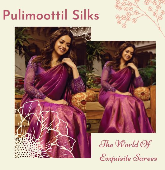 Pulimoottil Silks - The World Of Exquisite Sarees