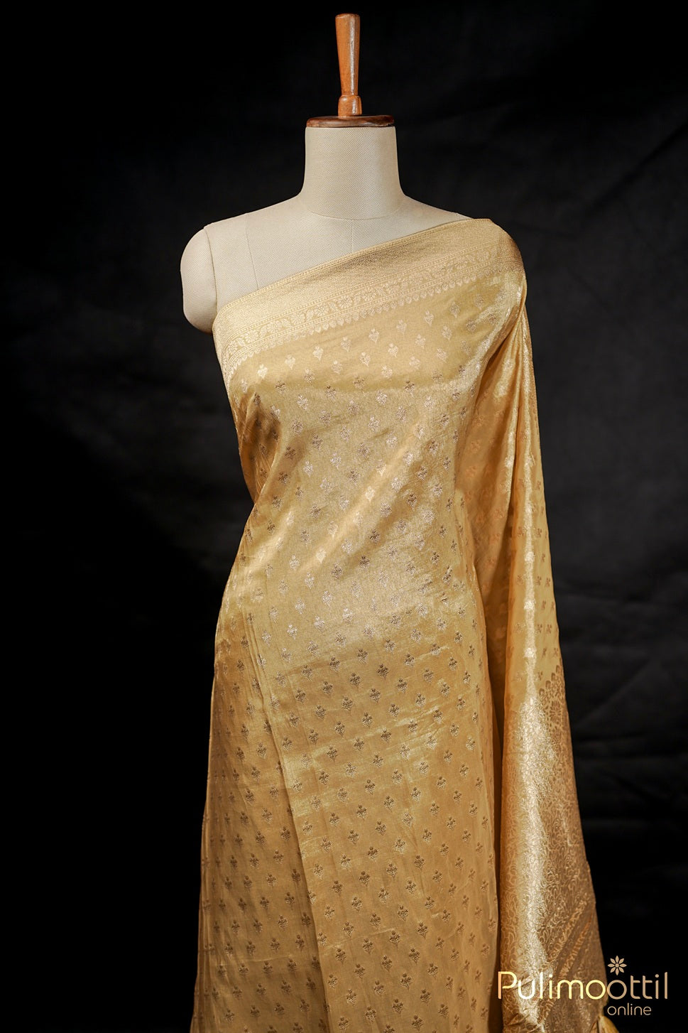 Golden Tissue Banarasi Saree.