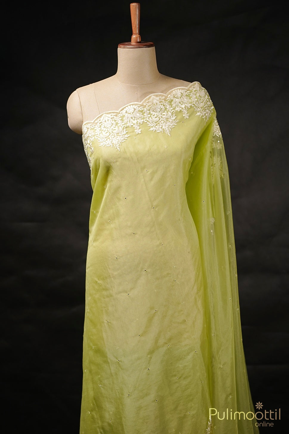 Light Green Organza Fancy Saree.