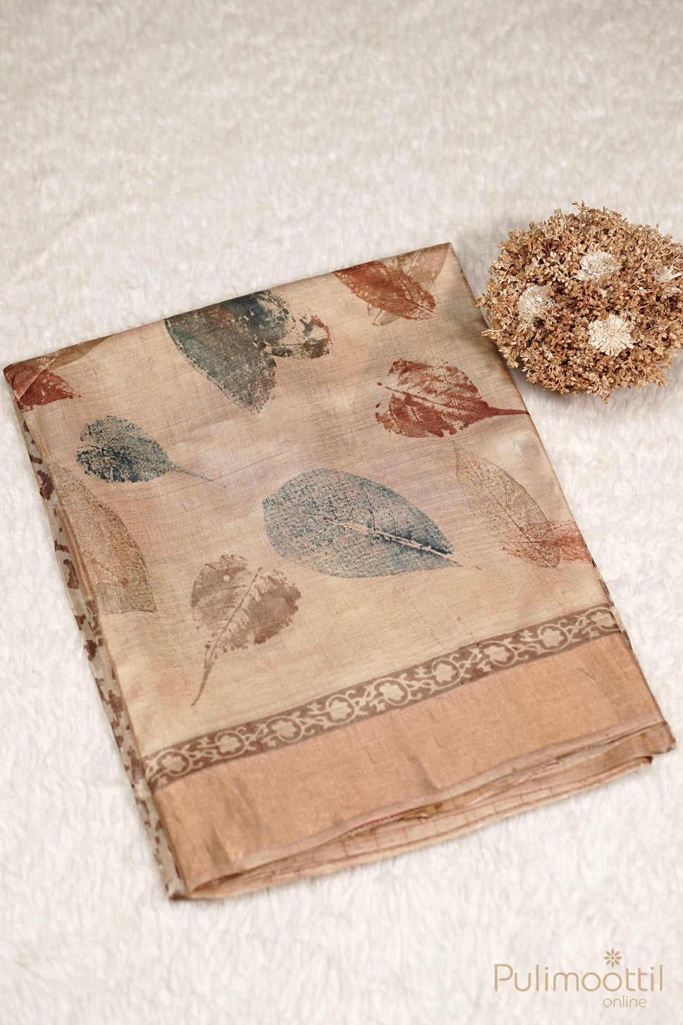 Pastel Chickoo Shade Tussar Silk Saree.